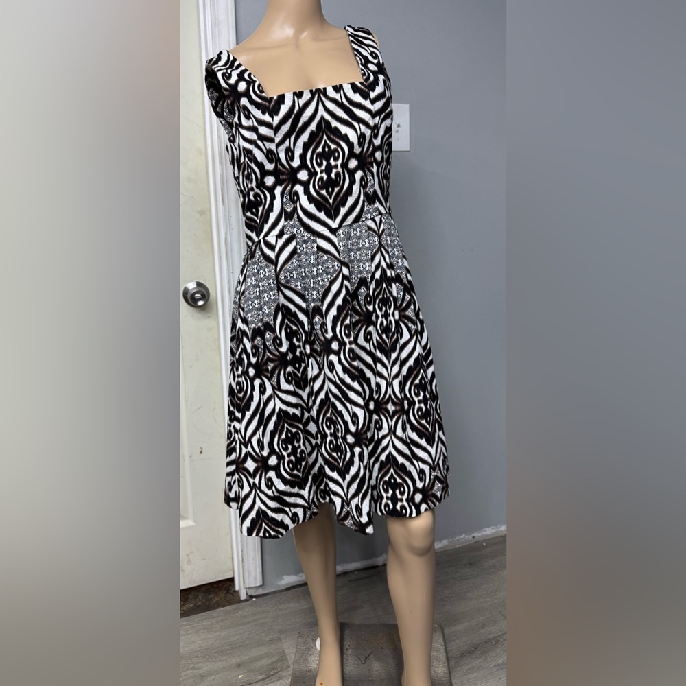 Eva Mendes for New York & Company Black and White Midi Dress
